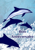 Dauphins en fête pour un joyeux anniversaire